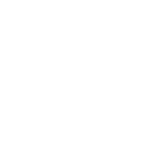 Custom API Development